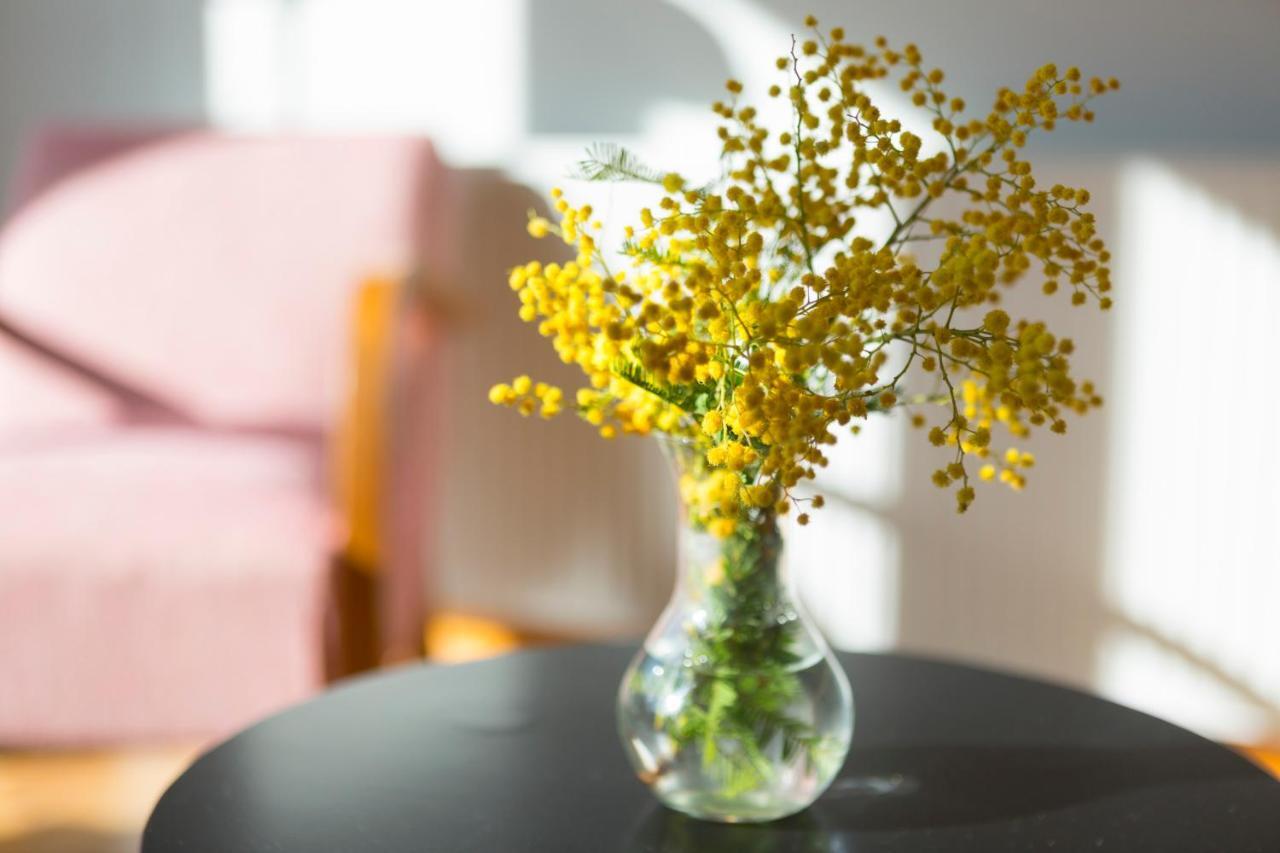 Auntie'S Home Athens Phòng bức ảnh